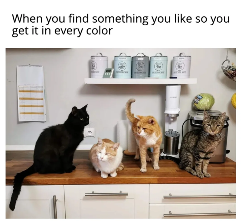 When you find something you like so you get it in every color 003 coffee Tea Tea Tea