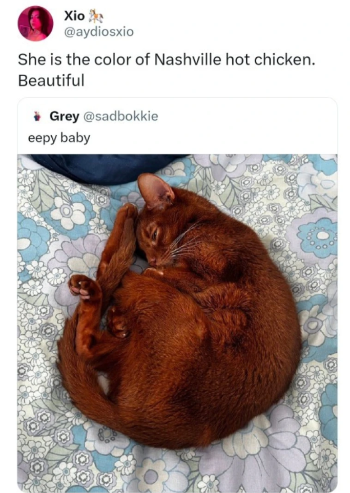 Xio e @aydiosxio She is the color of Nashville hot chicken. Beautiful Grey@sadbokkie eepy baby