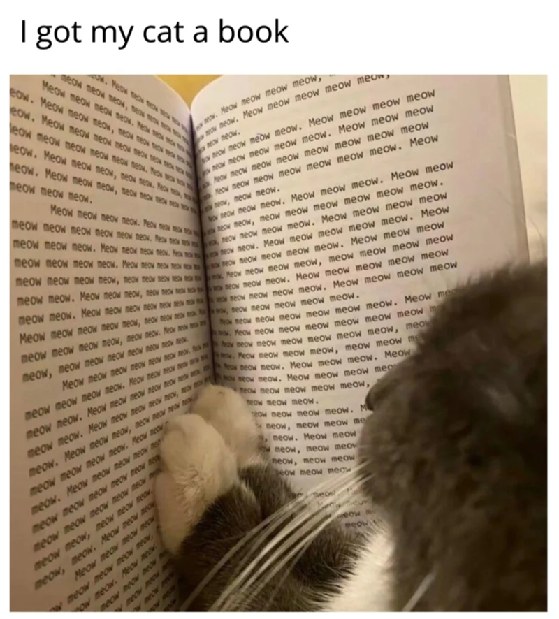 I got my cat a book meow meow meow, W. Peow M Meow meow meow meow. Peak me mo eow. Meow meow meow meow meow eow. Meow meow meow meow meow eow meow meow meow meow meow. Peo eow. Meow meow meow, meow meow Meow meow. Meow meow meow, meow meow meow meow meow meow. N wow. Meow meow meow meow, neow meow. Meow meow meow meow meow neow meow ow neow meow meow meow. Meow meow meow meow neow meow meow meow meow. Meow meow meow Meow meow meow meow meow meow meow meow Meow meow meow meow meow meow meow. Meow