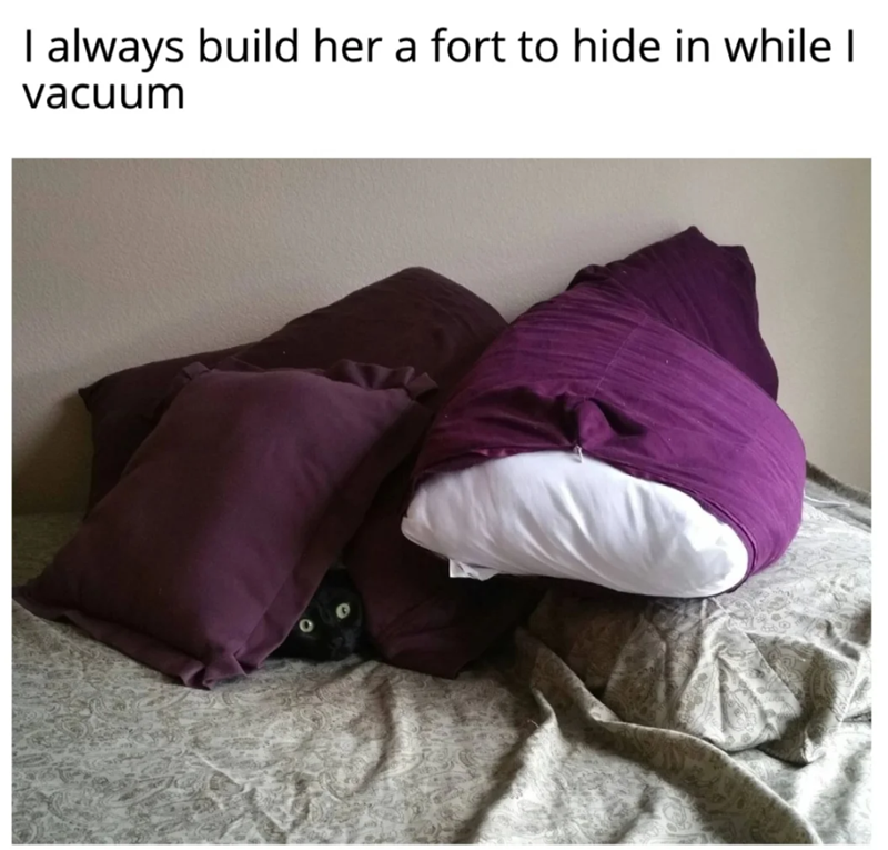 I always build her a fort to hide in while I vacuum