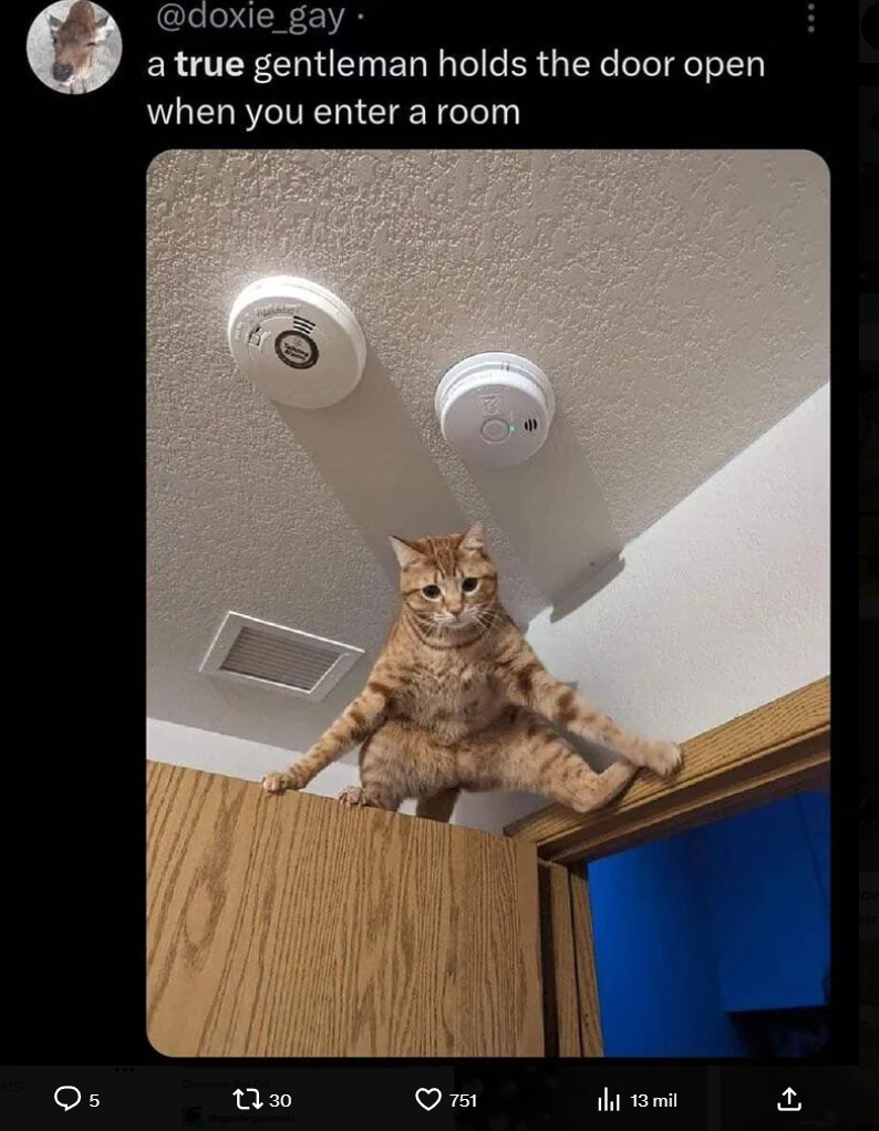 @doxie_gay. a true gentleman holds the door open when you enter a room 5 1730 751 Il 13 mil