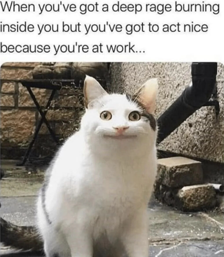 When you've got a deep rage burning inside you but you've got to act nice because you're at work...