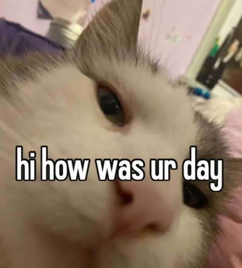 hi how was ur day