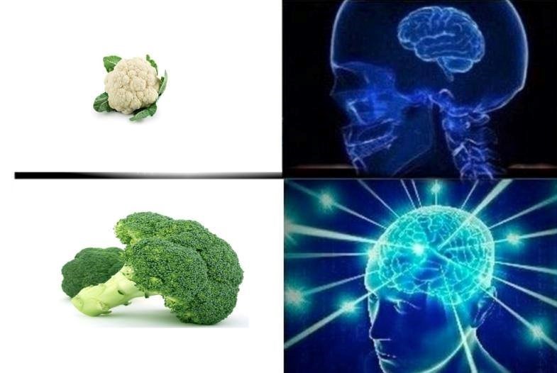 Cheezburger Image 10625851136