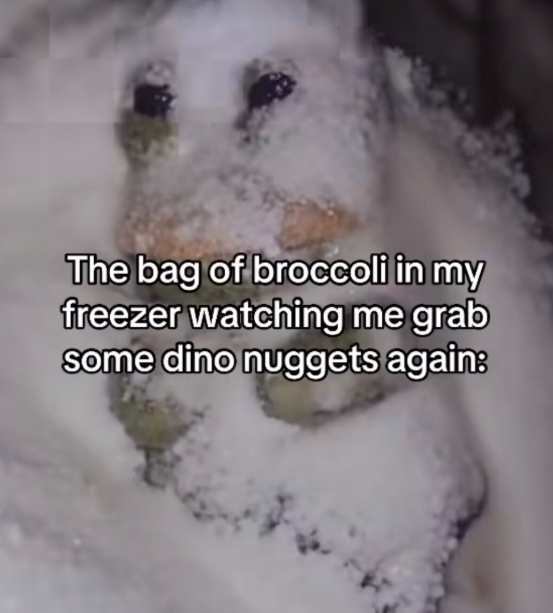 The bag of broccoli in my freezer watching me grab some dino nuggets again:
