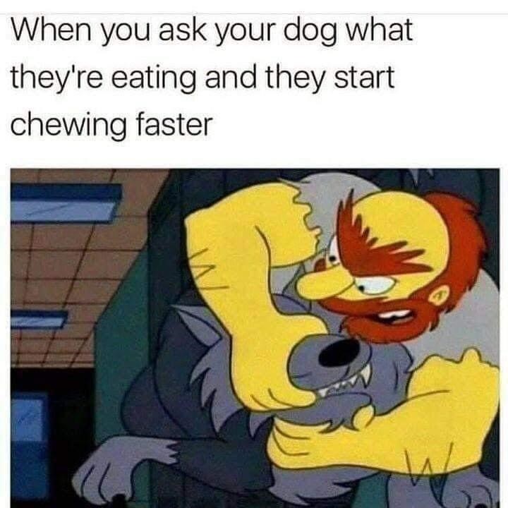 When you ask your dog what they're eating and they start chewing faster