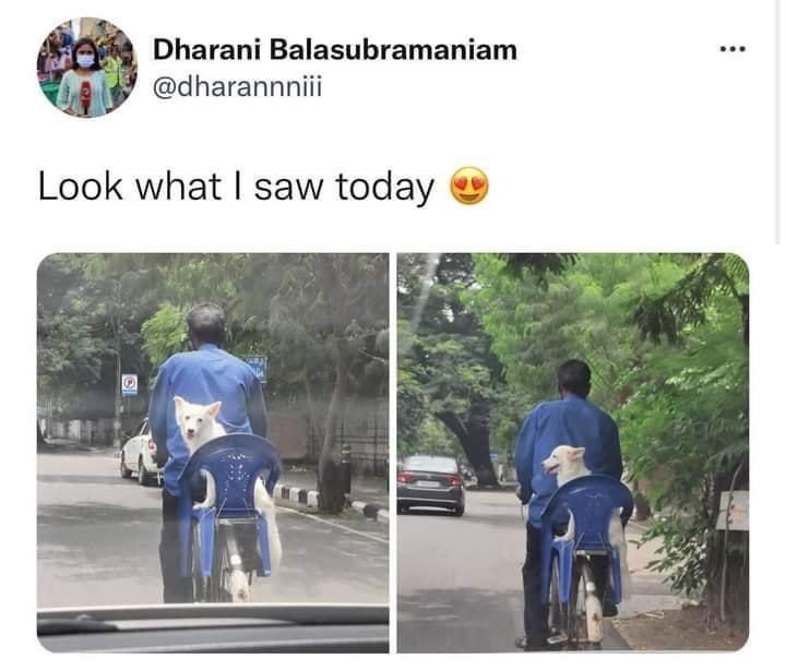 Dharani Balasubramaniam @dharannniii Look what I saw today