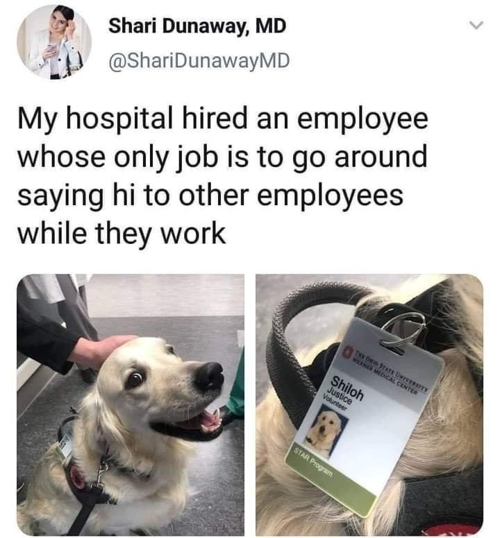 Shari Dunaway, MD @ShariDunawayMD My hospital hired an employee whose only job is to go around saying hi to other employees while they work THE DRID STATE UNIVERSITY WERNER MEDICAL CENTER Shiloh Justice Volunteer STAR Program