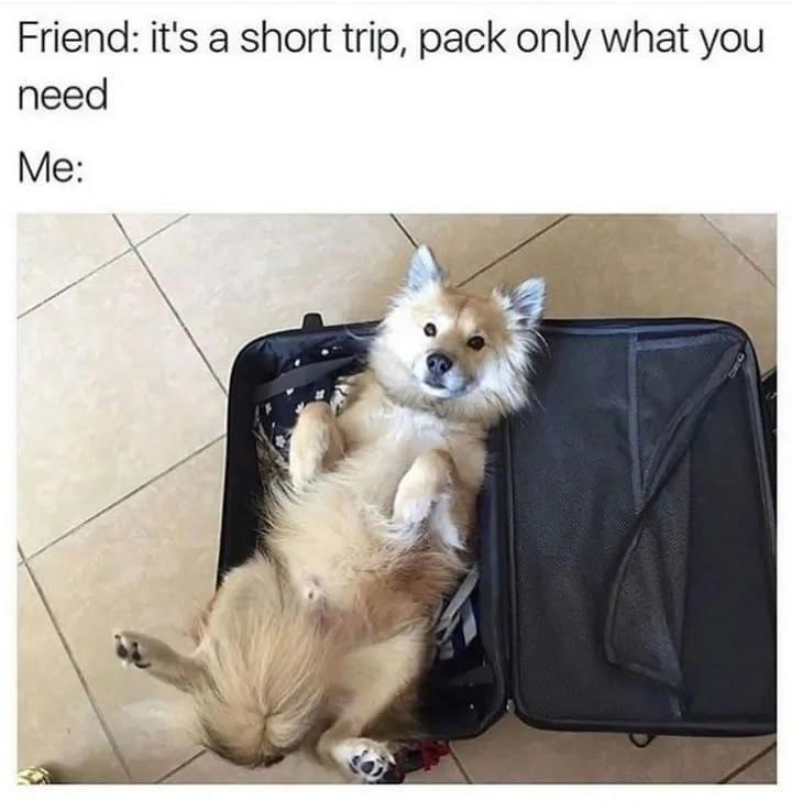 Friend: it's a short trip, pack only what you need Me: