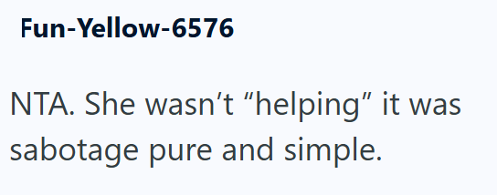 Fun-Yellow-6576 NTA. She wasn't "helping" it was sabotage pure and simple.