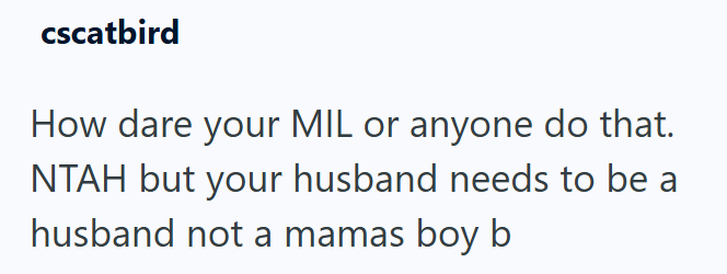 cscatbird How dare your MIL or anyone do that. NTAH but your husband needs to be a husband not a mamas boy b
