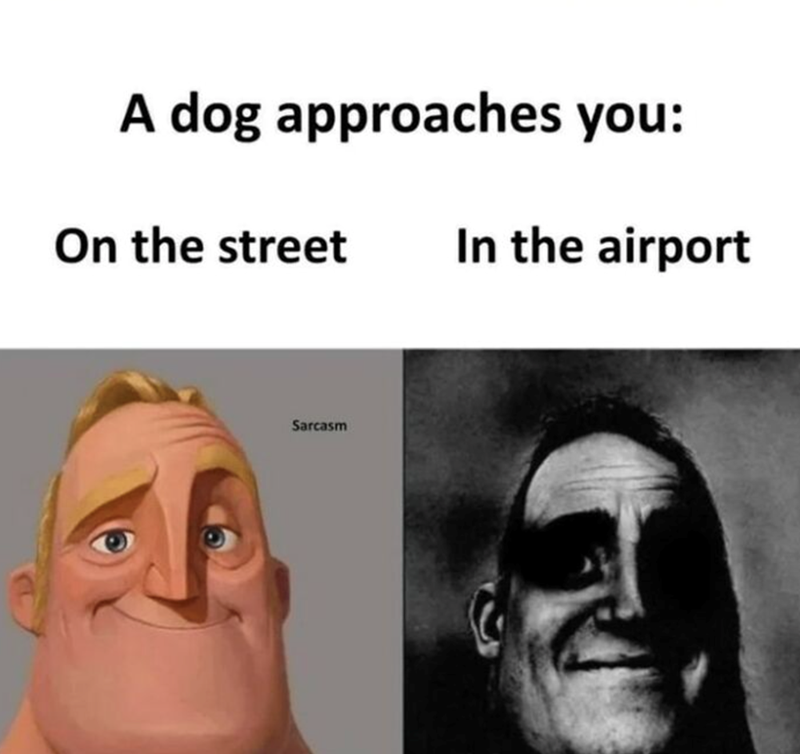 A dog approaches you: On the street In the airport Sarcasm