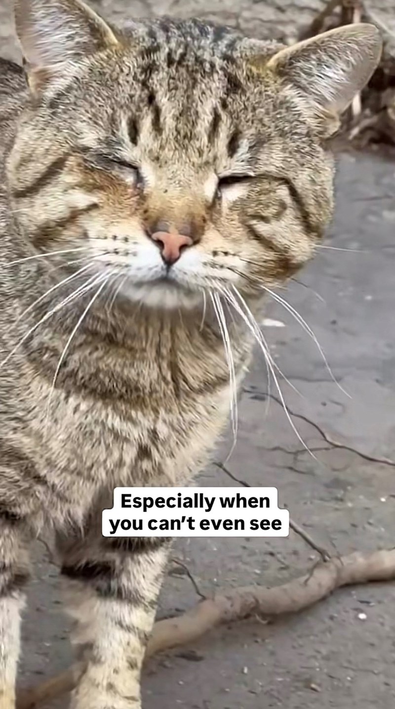 Especially when you can't even see