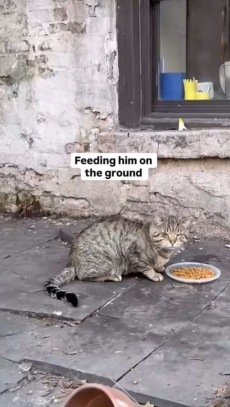 Feeding him on the ground