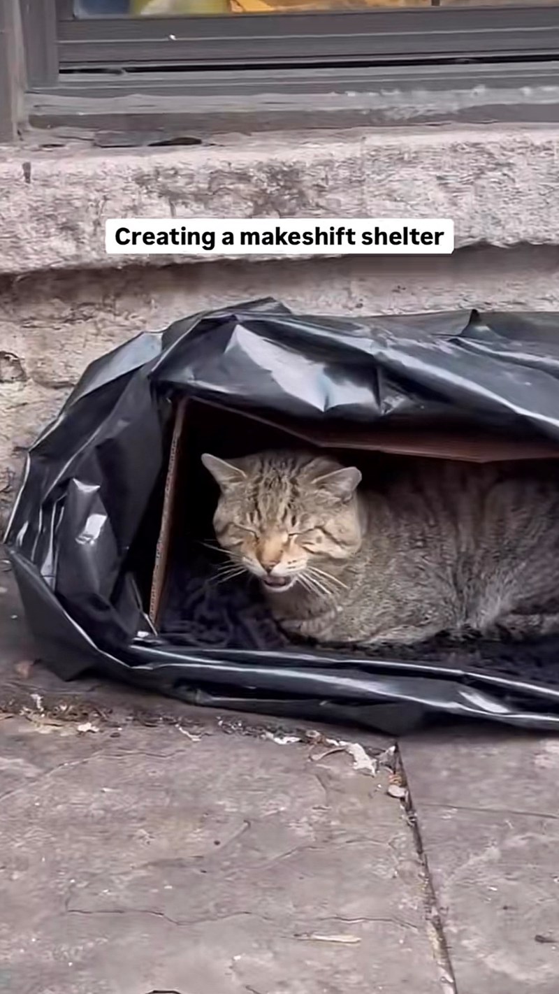 Creating a makeshift shelter