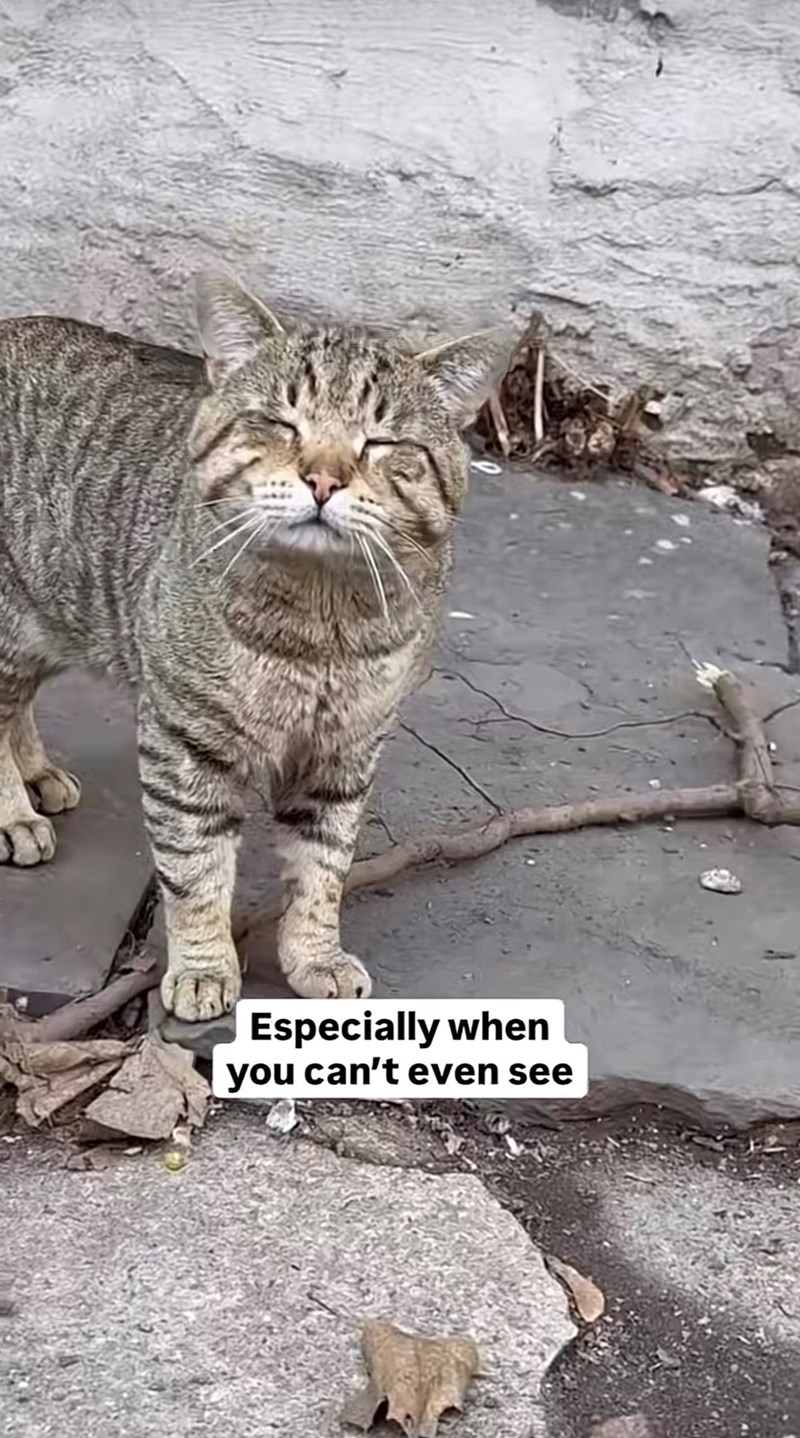 Especially when you can't even see