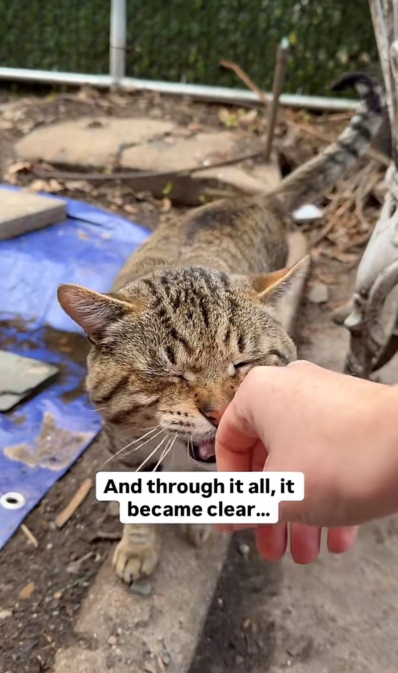 And through it all, it became clear...