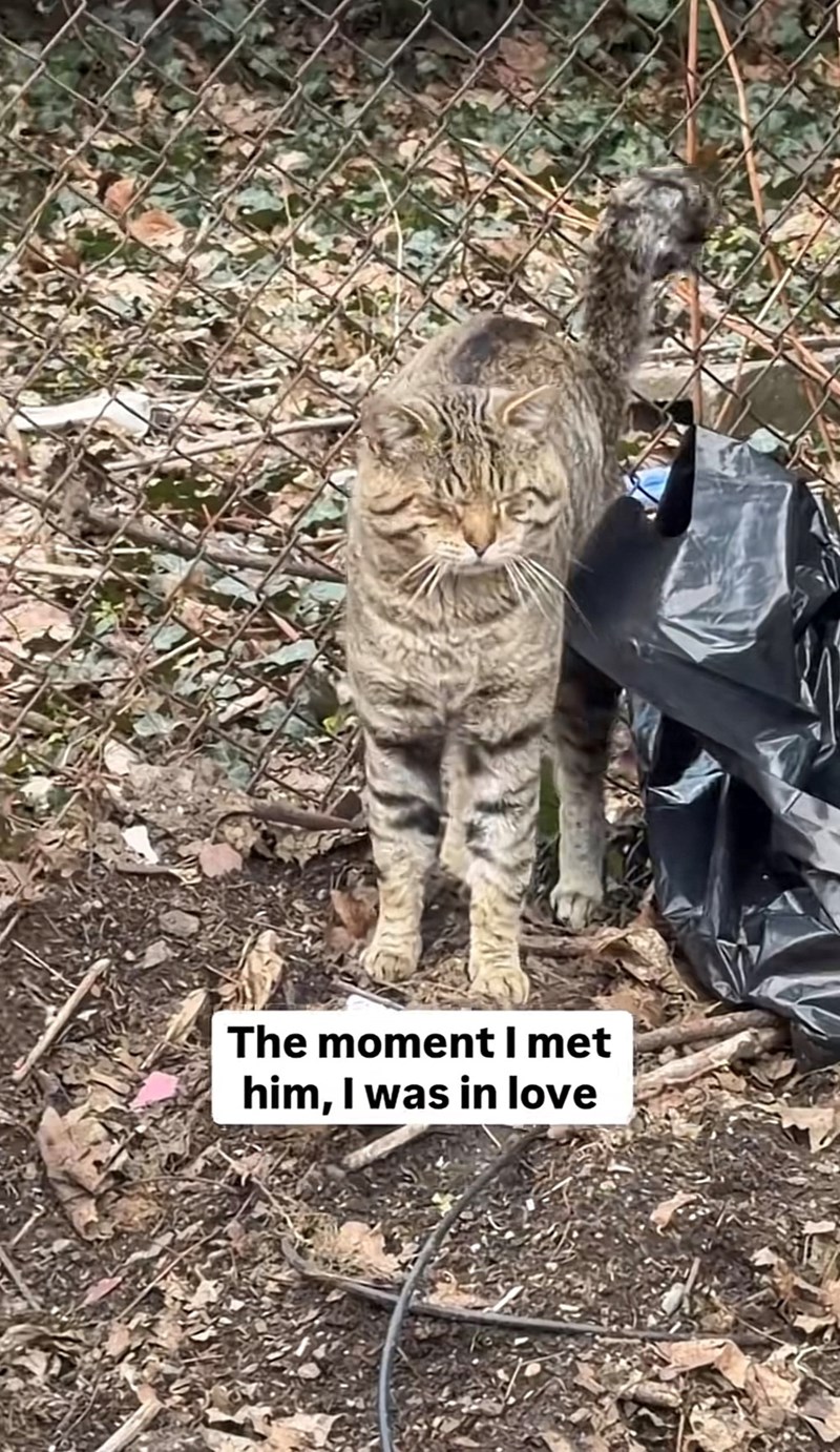 The moment I met him, I was in love