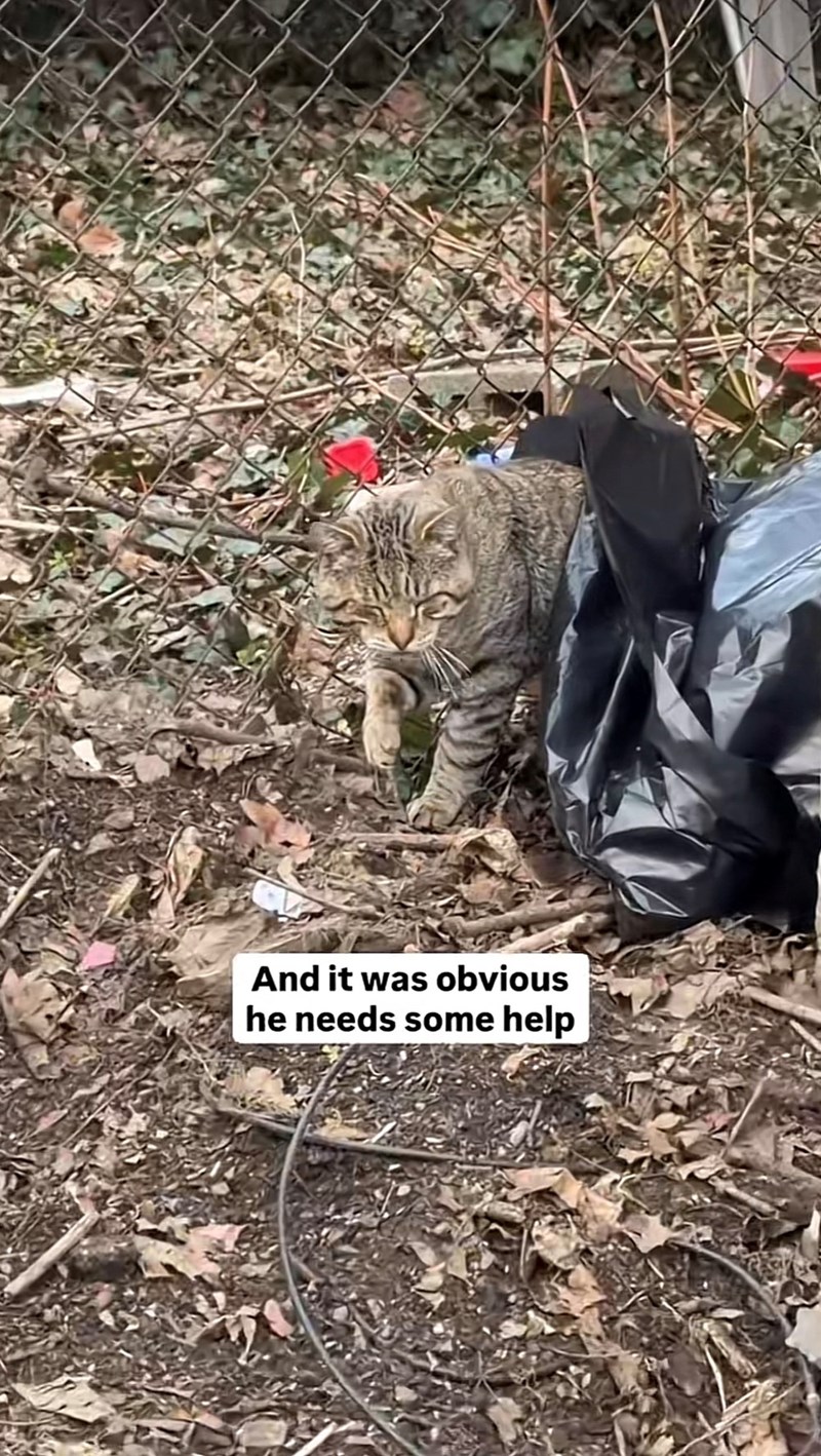 And it was obvious he needs some help