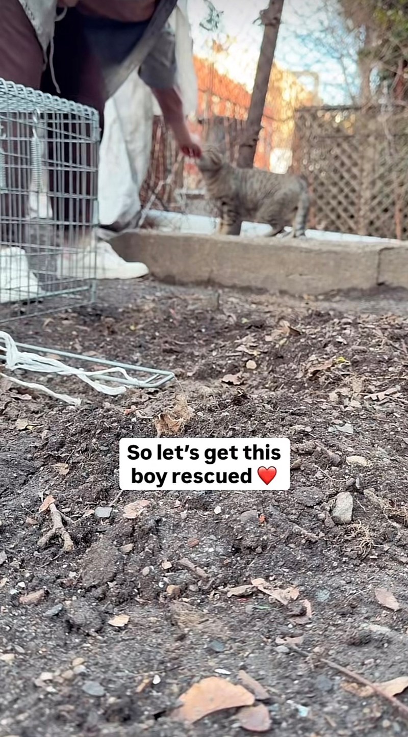 So let's get this boy rescued