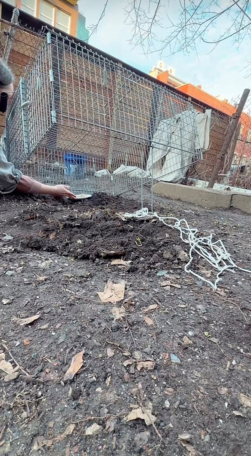 Cheezburger Image 10625880320