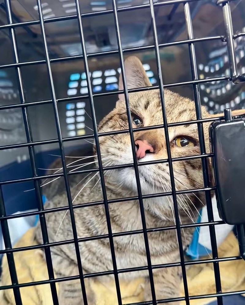 Cheezburger Image 10625881600