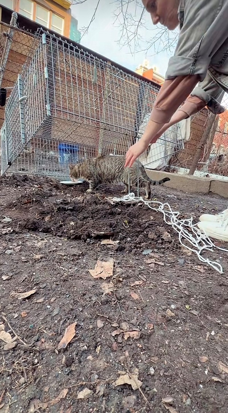 Cheezburger Image 10625882112