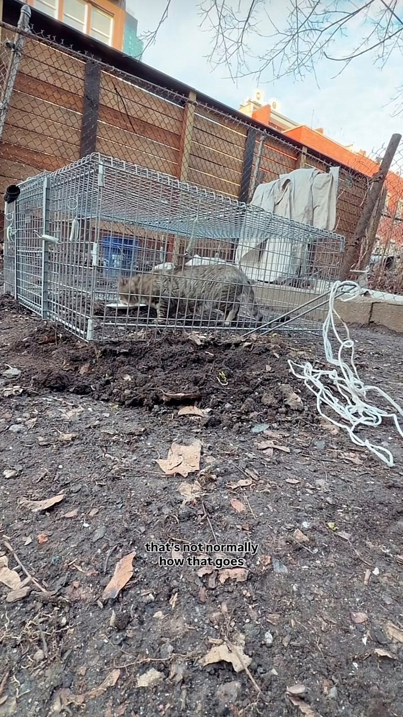 that's not normally how that goes