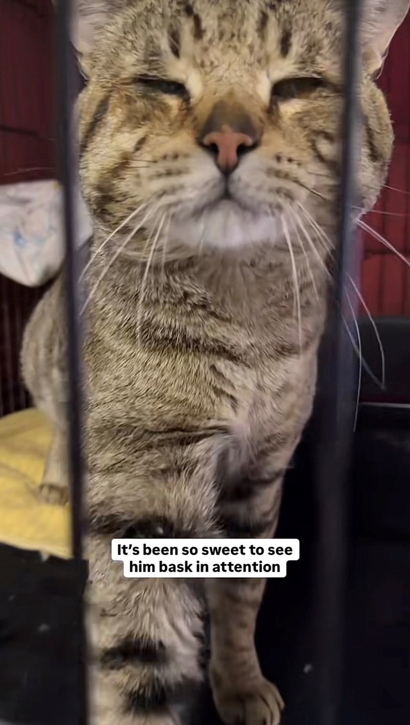 It's been so sweet to see him bask in attention