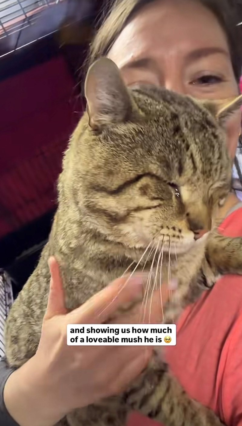 and showing us how much of a loveable mush he is