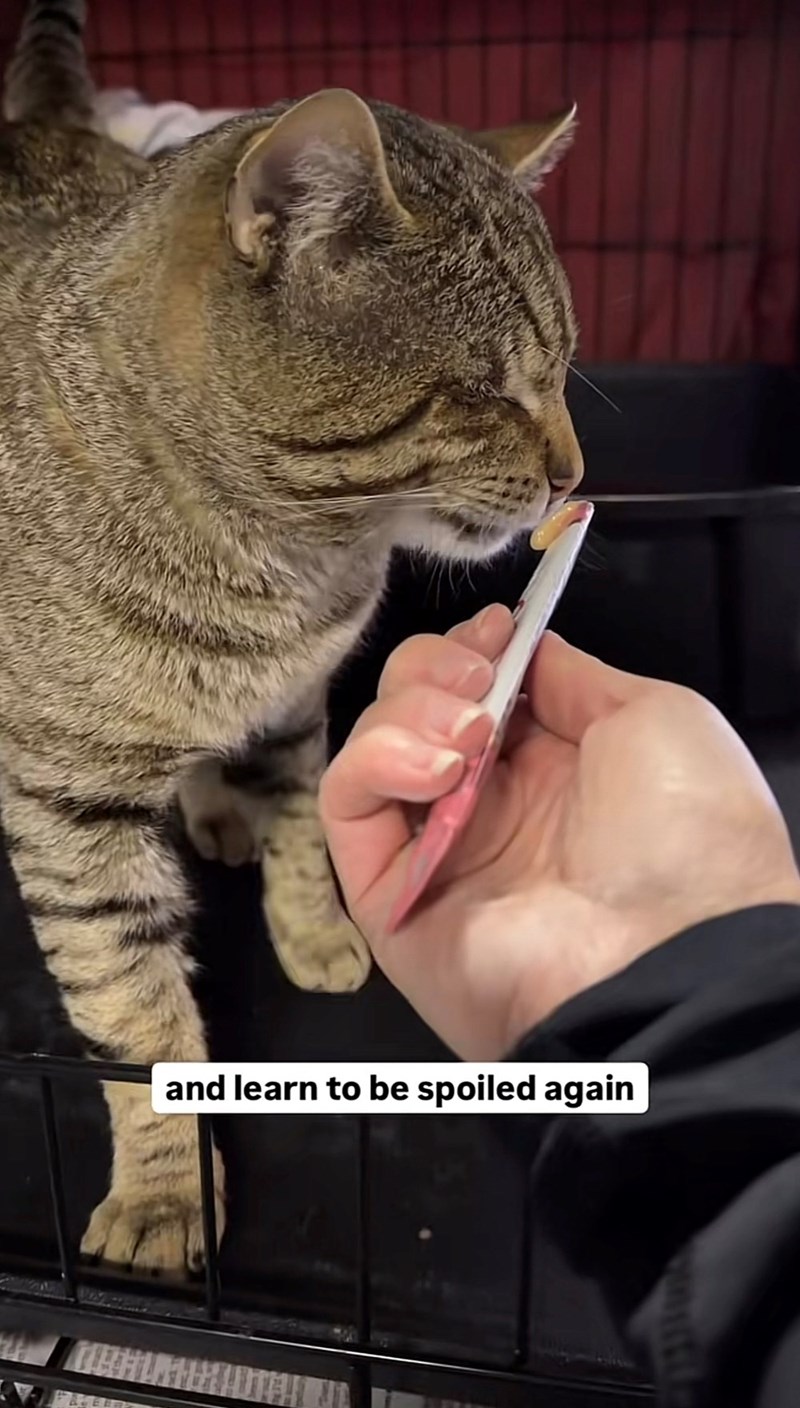 and learn to be spoiled again