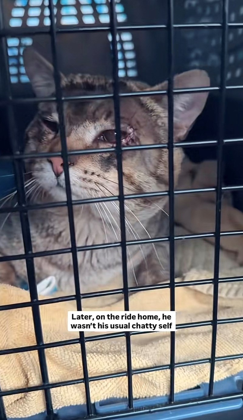 Later, on the ride home, he wasn't his usual chatty self