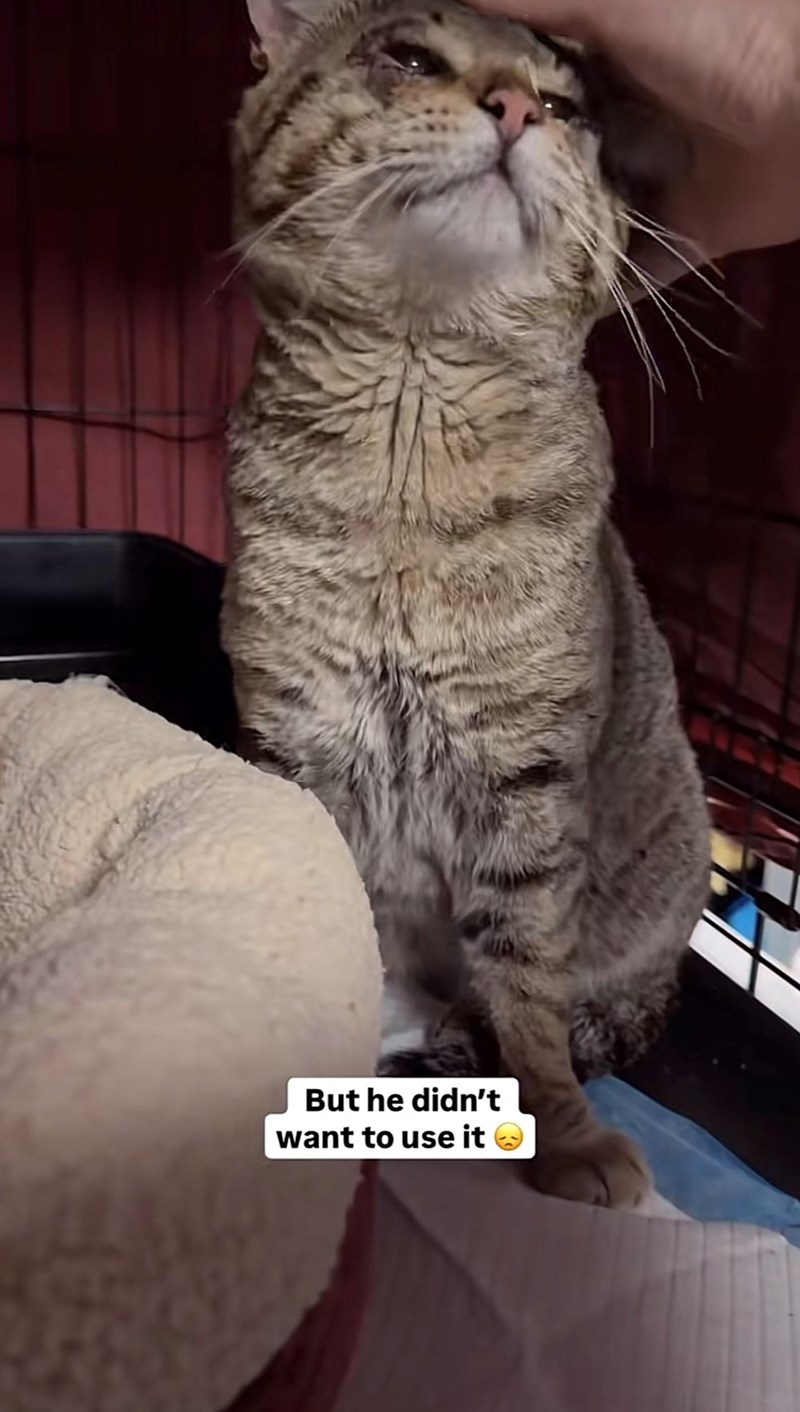 But he didn't want to use it