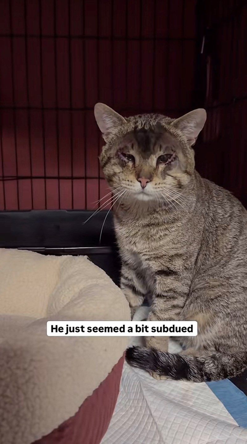 He just seemed a bit subdued