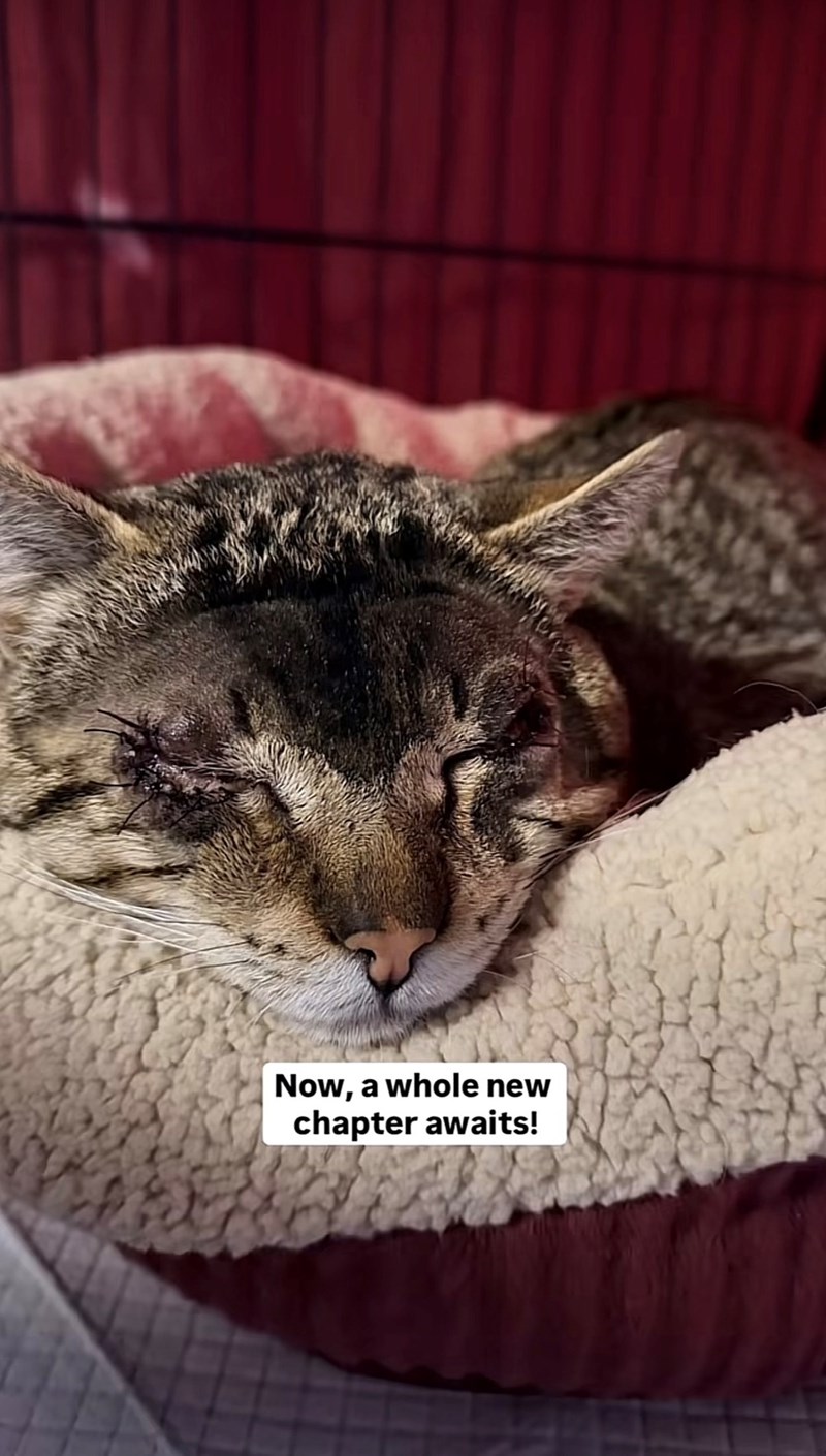 Now, a whole new chapter awaits!