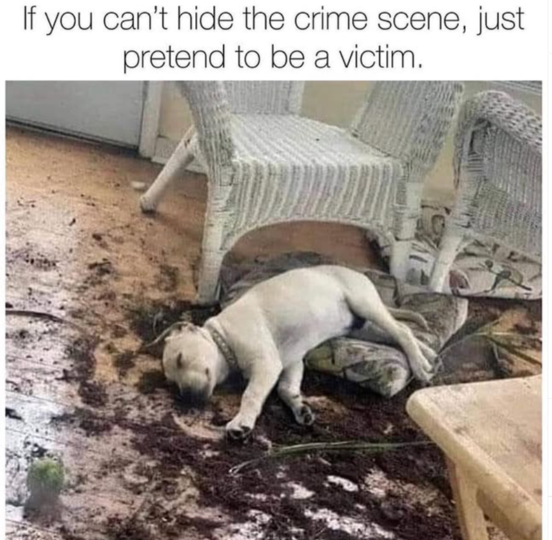 If you can't hide the crime scene, just pretend to be a victim.