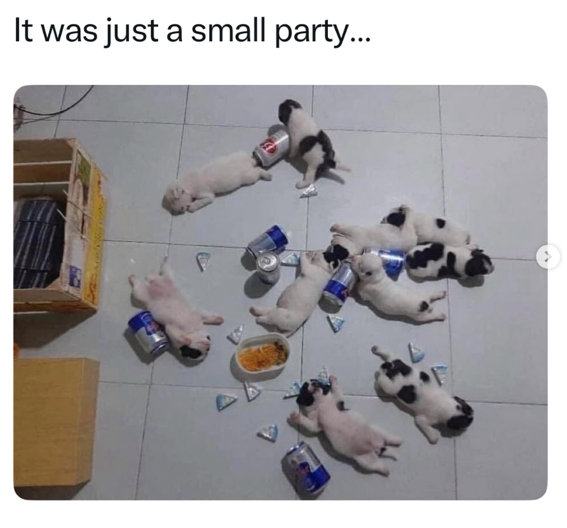It was just a small party...