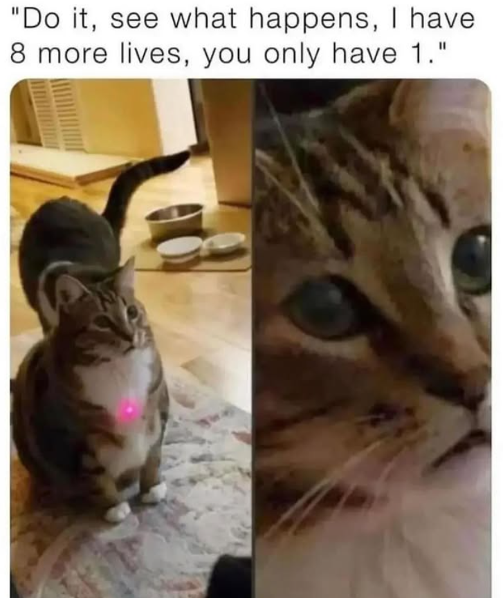 "Do it, see what happens, I have. 8 more lives, you only have 1."