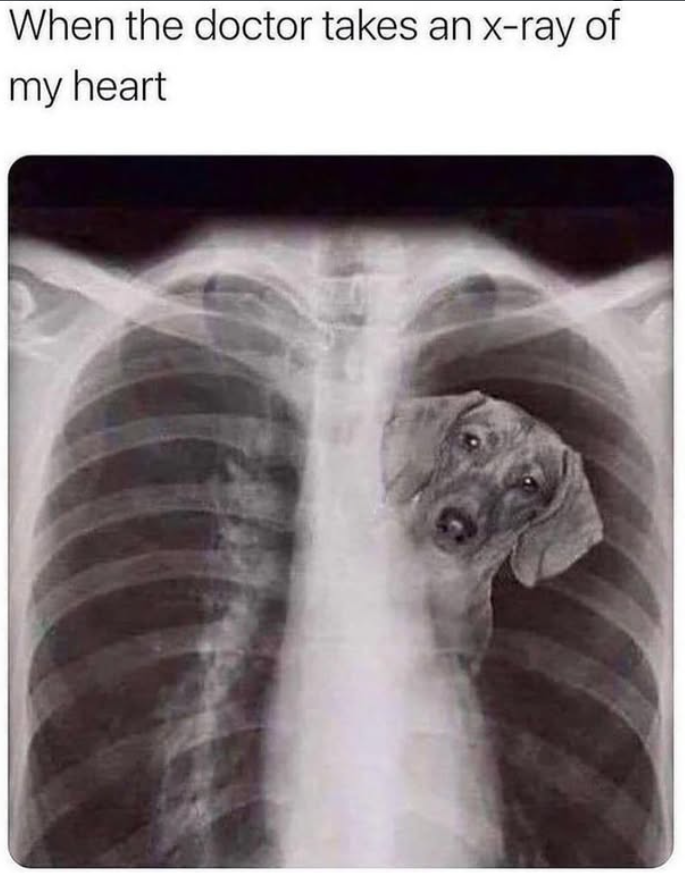 When the doctor takes an x-ray of my heart