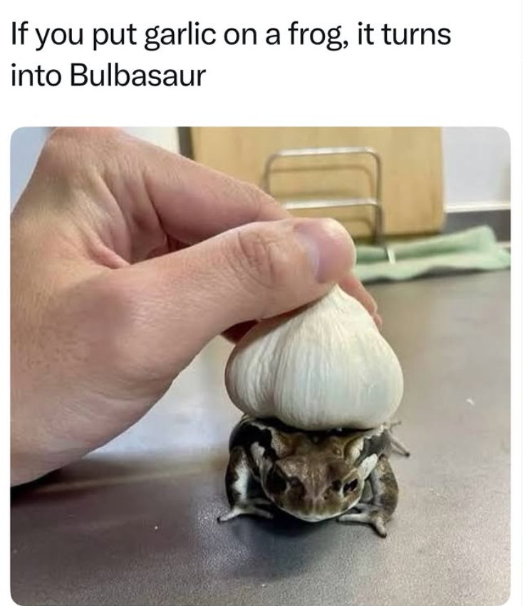 If you put garlic on a frog, it turns into Bulbasaur