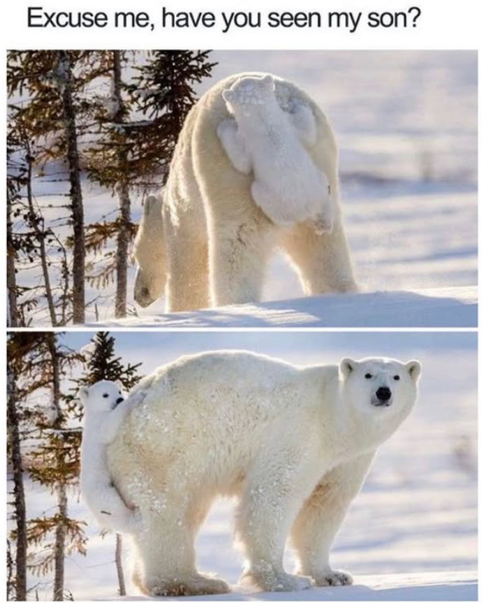 Excuse me, have you seen my son?