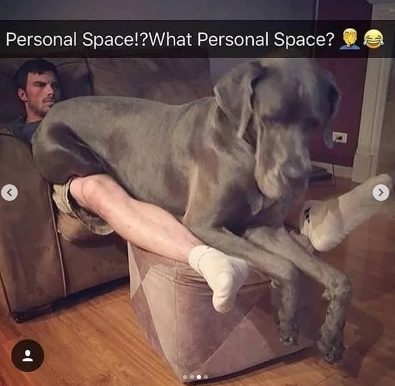 < Personal Space!?What Personal Space? >