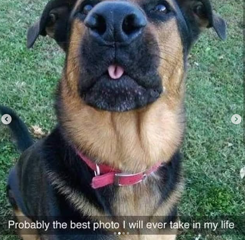 < Probably the best photo I will ever take in my life