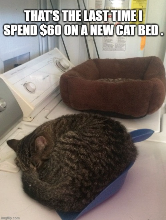 THAT'S THE LAST TIME I SPEND $60 ON A NEW CAT BED. imgflip.com