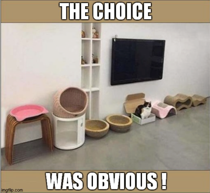 THE CHOICE WAS OBVIOUS! imgflip.com