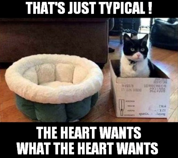 THAT'S JUST TYPICAL! 179221008 spunis THE HEART WANTS WHAT THE HEART WANTS TM6 x21 لحديمات