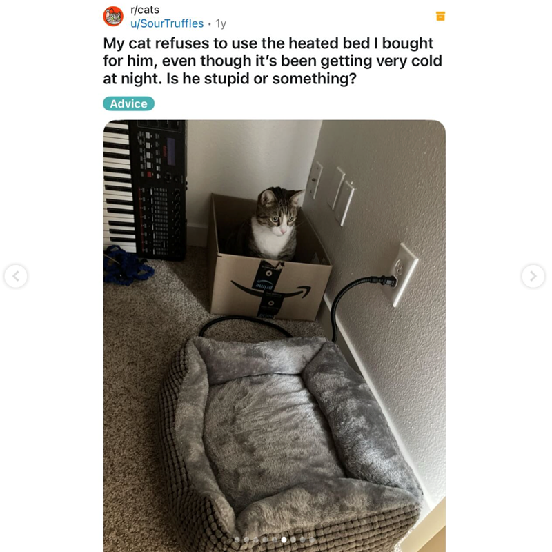 < r/cats u/SourTruffles 1y My cat refuses to use the heated bed I bought for him, even though it's been getting very cold at night. Is he stupid or something? Advice prime <