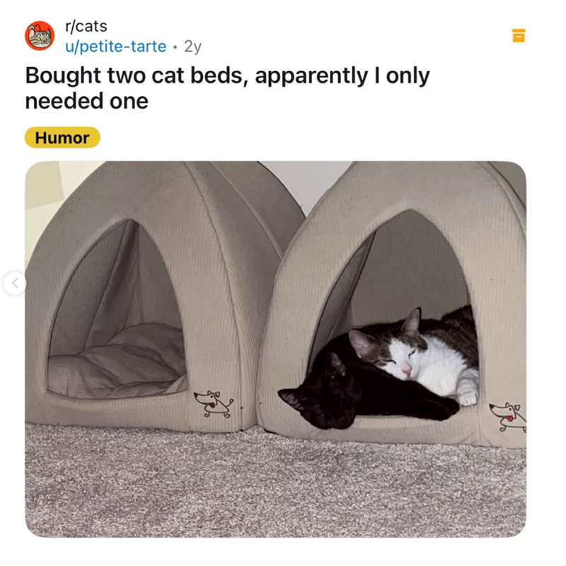 r/cats u/petite-tarte 2y Bought two cat beds, apparently I only needed one Humor <