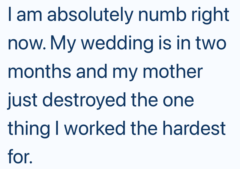 I am absolutely numb right now. My wedding is in two months and my mother just destroyed the one thing I worked the hardest for.