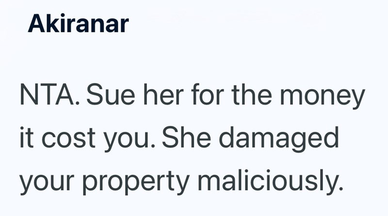 Akiranar NTA. Sue her for the money it cost you. She damaged your property maliciously.
